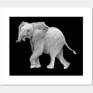 baby Elephant Posters and Art